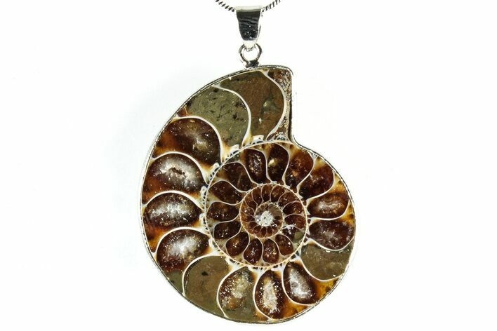 Fossil Ammonite Pendant - Million Years Old #306501